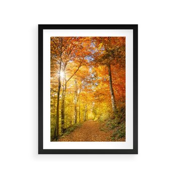 Plakat w ramie 50x70 - Złote barwy jesiennego lasu - las, jesień - rama czarna