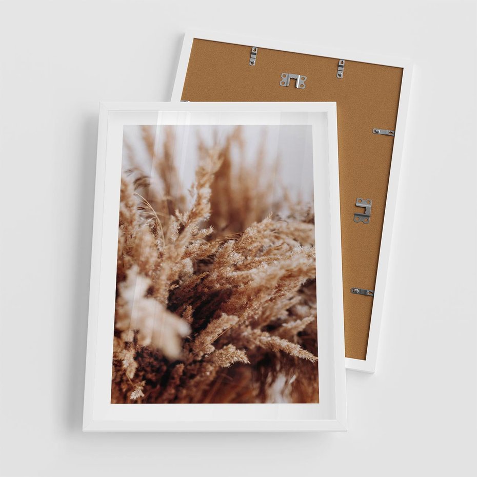 Plakat w ramie 50x70 - Sztuka Suszonych Traw - trawa pampas, suszone trawy - rama biała