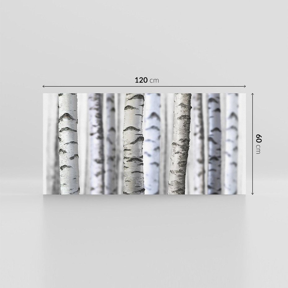 Obraz na płótnie 120x60 - Delikatność brzóz - brzozy, las