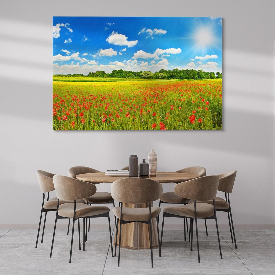Obraz na płótnie 70x50 - Malownicze maki na łące - maki, łąka