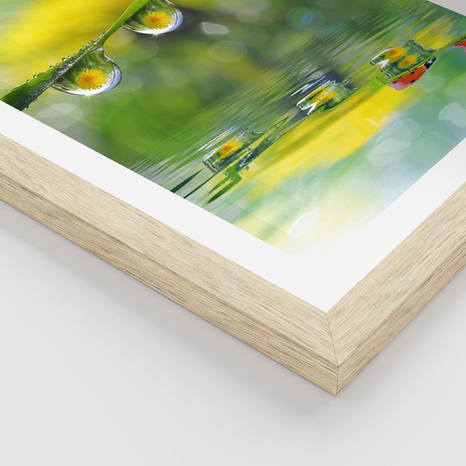 Plakat w ramie 30x40 - Deszczowa Biedronka - biedronka, deszcz - rama drewno