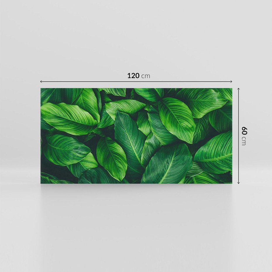 Obraz na płótnie 120x60 - Palma Liście Kwiat - palma, liście