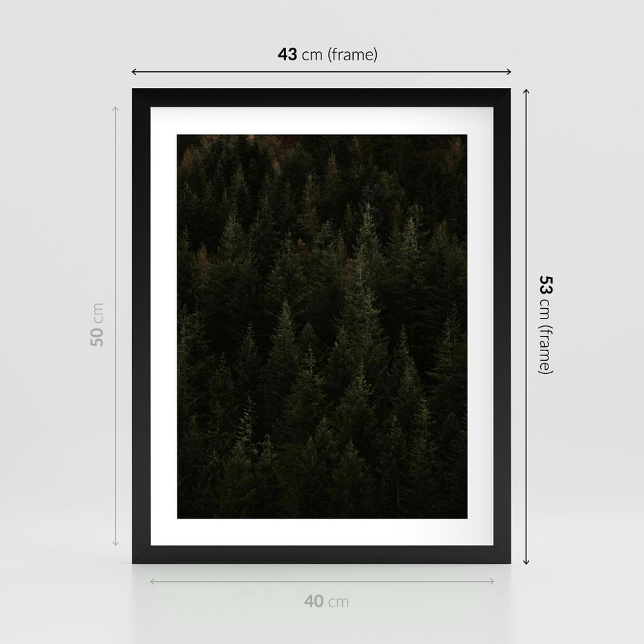 Plakat w ramie 40x50 - Ciemny las iglasty - las, iglasty - rama czarna