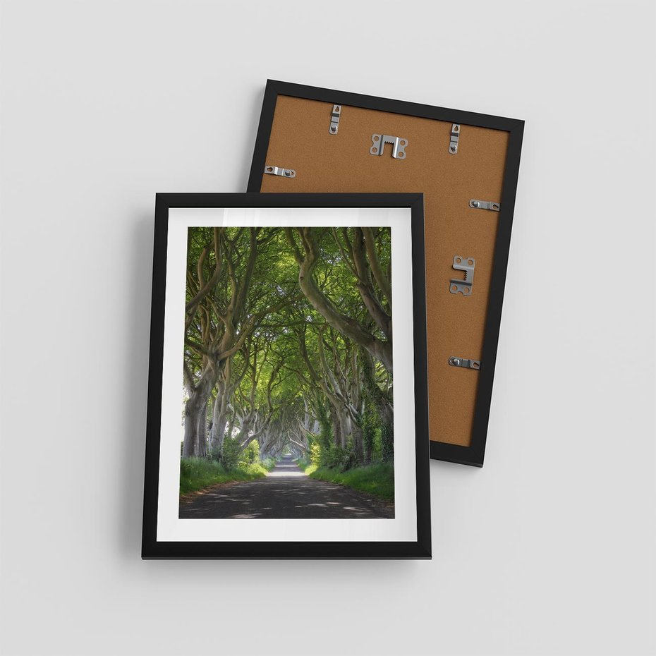 Plakat w ramie 30x40 - Magiczny Las - drzewa, las - rama czarna