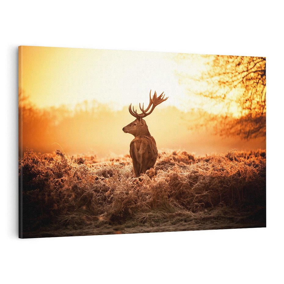 Obraz na płótnie 100x70 - Magia jesiennego słońca: Jeleń w promieniach - jeleń, jesień