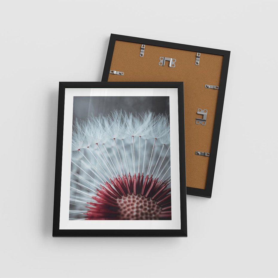 Plakat w ramie 40x50 - Dmuchawiec w Detalu - dmuchawiec, zdjęcie makro - rama czarna