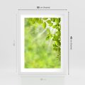 Plakat w ramie 30x40 - Zielone liście natury - liści, zieleń - rama biała