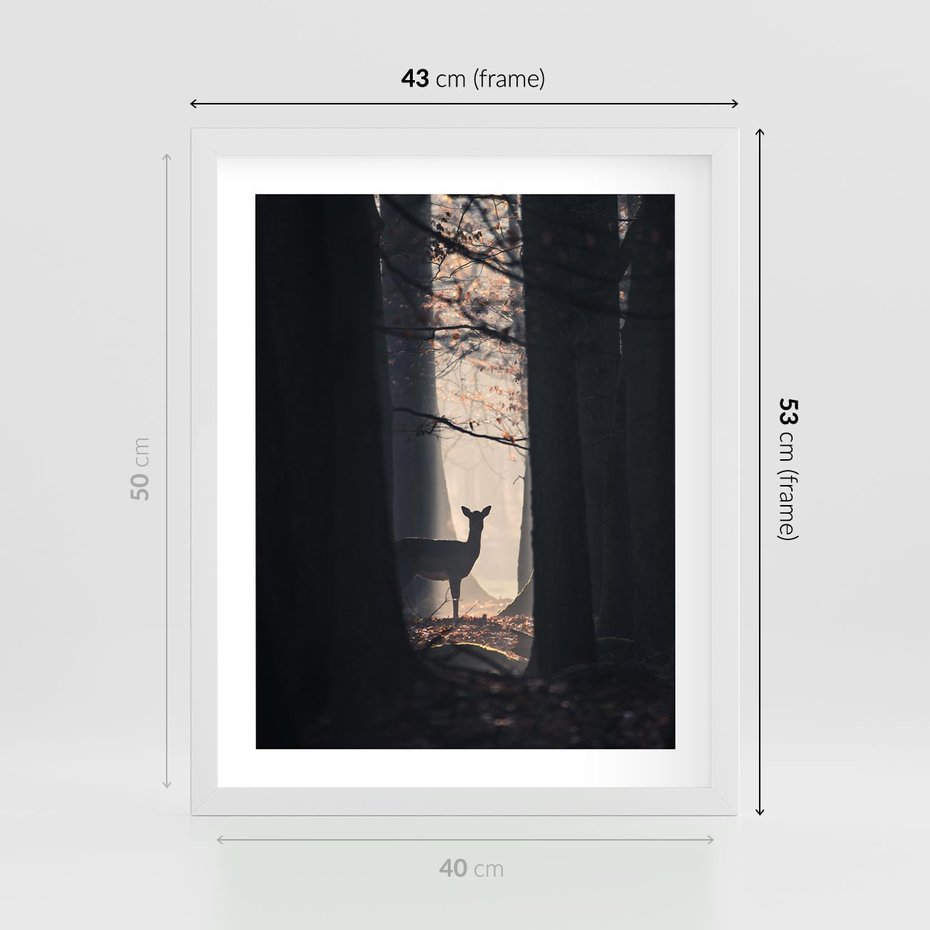 Plakat w ramie 40x50 - Sarnie Skoki - zdjęcie, klimatyczny las - rama biała