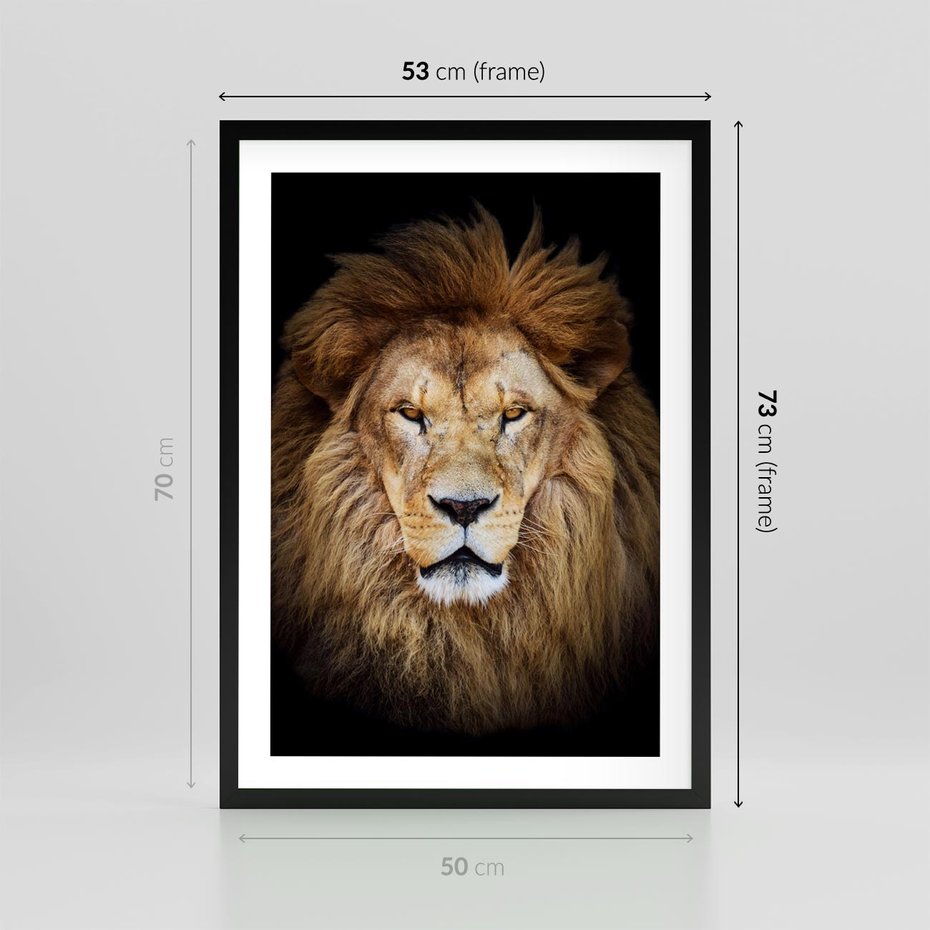Plakat w ramie 50x70 - Król zwierząt w majestatycznym stylu - lew, król - rama czarna