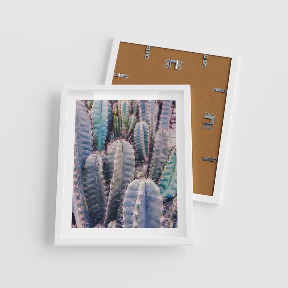 Plakat w ramie 40x50 - Kaktusowy Raj - kaktusy, dużo kaktusów - rama biała