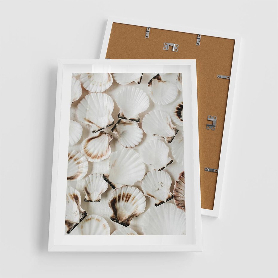 Plakat w ramie 50x70 - Białe Muszle - białe muszle, ujęcie z góry - rama biała