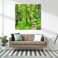 Obraz na płótnie 50x50 - odkryj piękno drzew - las, drzewa