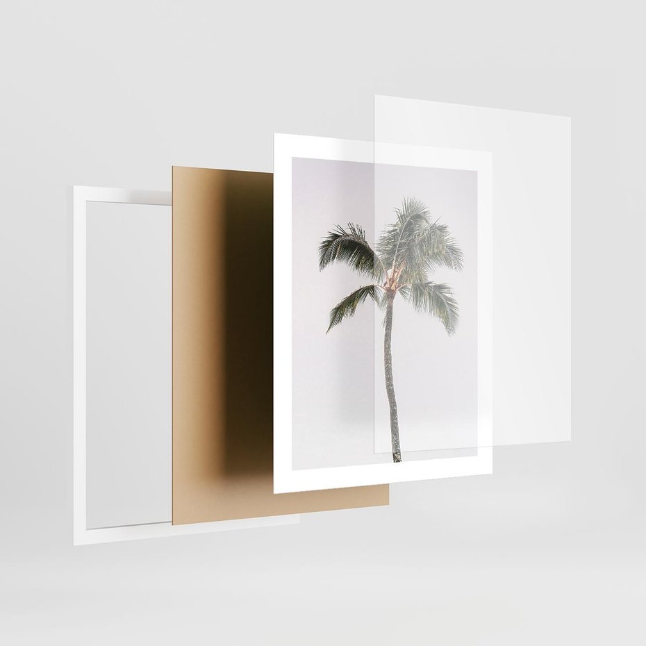 Plakat w ramie 40x50 - Wakacyjne Marzenia - palma na tle nieba - rama biała