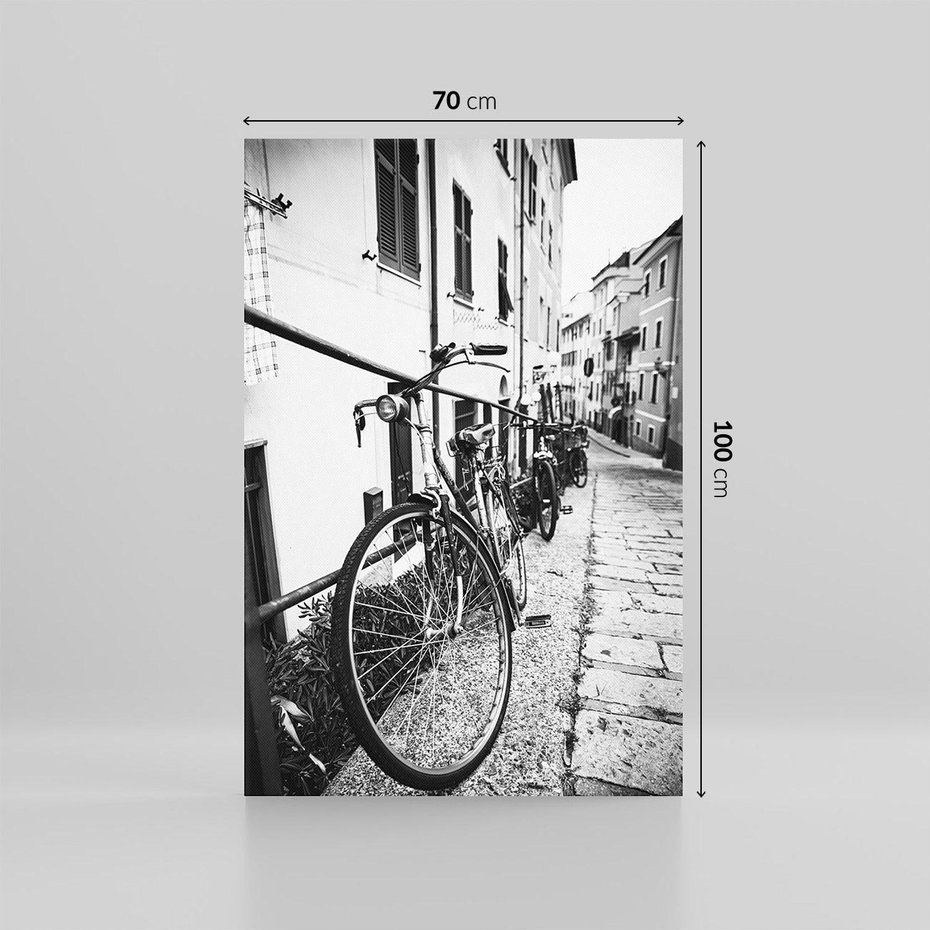 Obraz na płótnie 70x100 - Rower w Kontraście - rower, czarno