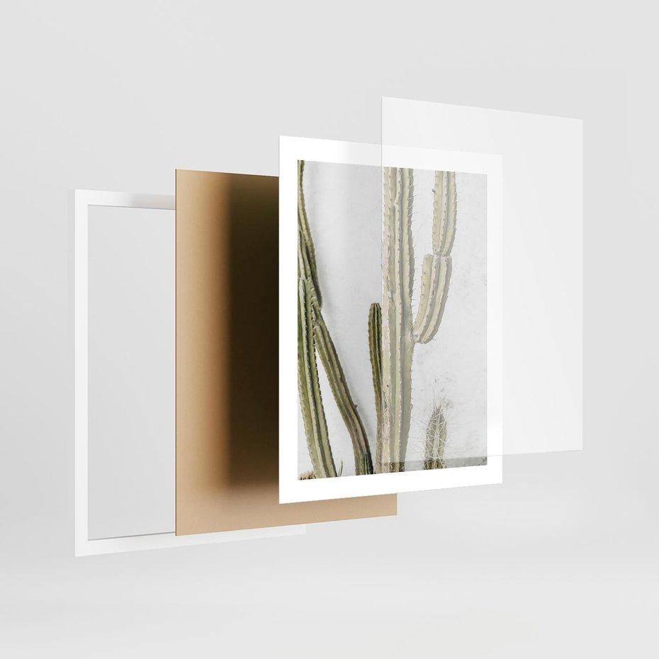 Plakat w ramie 40x50 - Kaktus w Stylu Boho - kaktus, roślina tropikalna - rama biała