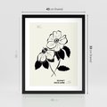 Plakat w ramie 40x50 - Poezja kwiecistej kreski - kwiaty, minimalistyczne - rama czarna
