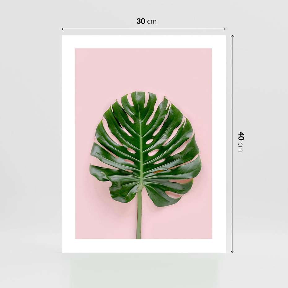 Plakat bez ramy 30x40 - Monstera w Różowym Świetle - liść monstery, różowe tło