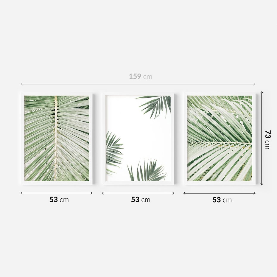 Zestaw obrazy w ramie 50x70 galeria - Liście, palma, tropikalne - rama biała