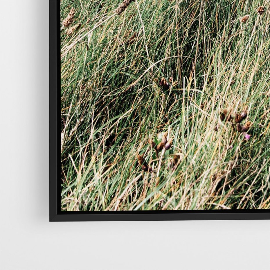 Obraz w ramie 50x70 - Harmonia Natury - widok z wydm, wydmy porośnięte trawami - rama czarna
