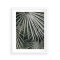 Plakat w ramie 40x50 - Ujęcie Tropikalnej Natury - palmy, liście palmy - rama biała