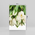 Obraz na płótnie 70x100 - Białe tulipany w pełnym rozkwicie - białe, tulipany