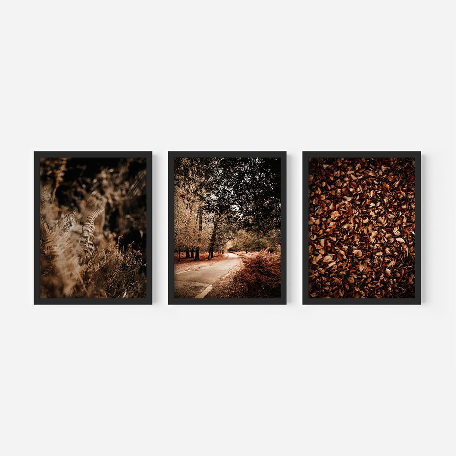 Zestaw obrazy w ramie 50x70 galeria - Jesienne, liście, nostalgia - rama czarna