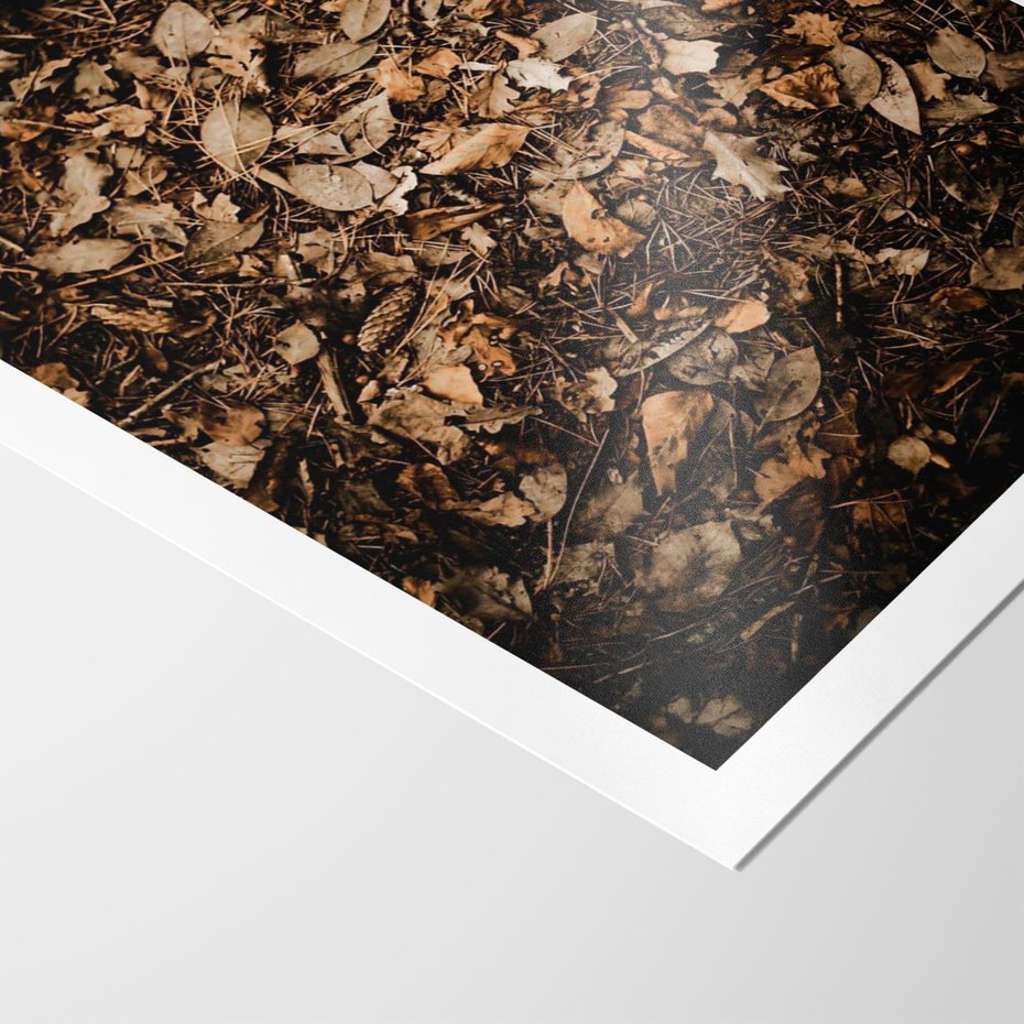 Plakat bez ramy 50x70 - Brązowe Liście w Scenerii - suche liście jesień brąz