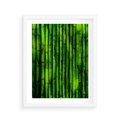 Plakat w ramie 40x50 - Bambusowy urok zielonej harmonii - bambus, zieleń - rama biała