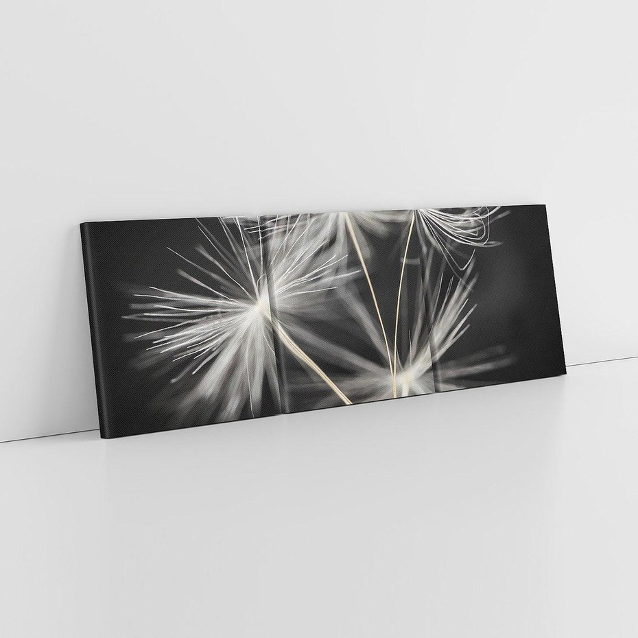 Obraz na płótnie 120x40 - Delikatność dmuchawców zbliżenie - dmuchawce, zbliżenie