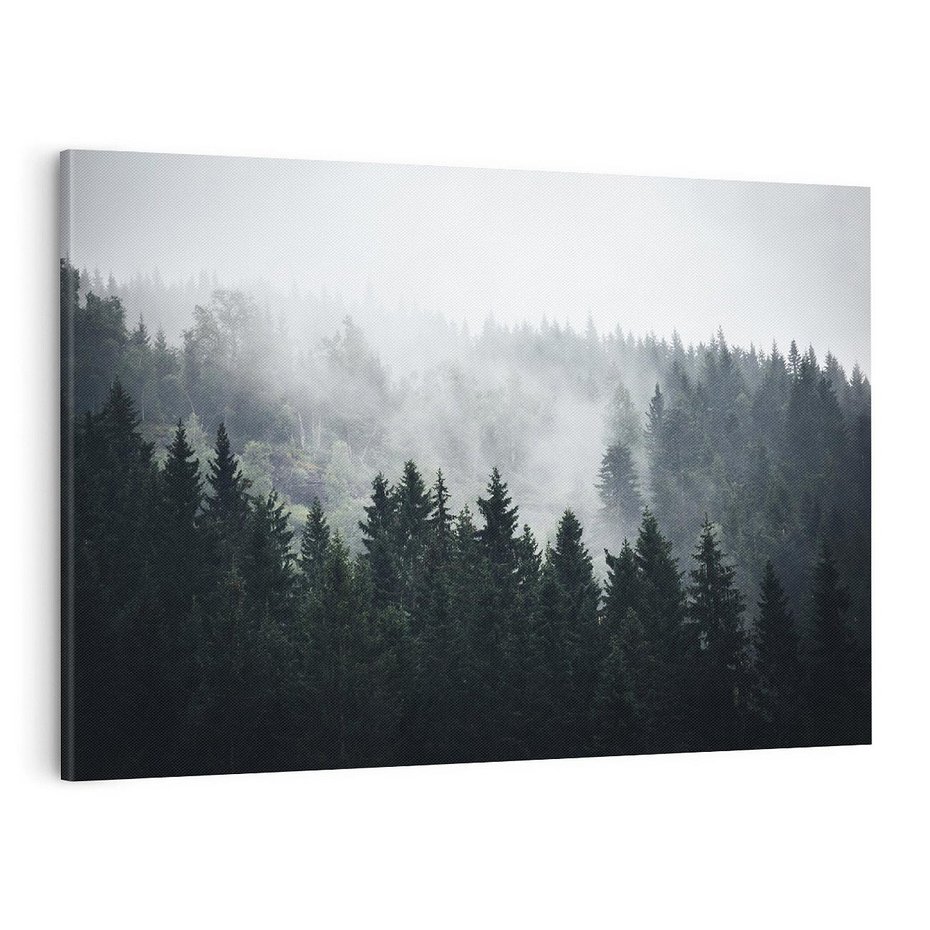 Obraz na płótnie 120x80 - Las w górach: mistyczna mgła - las, góry