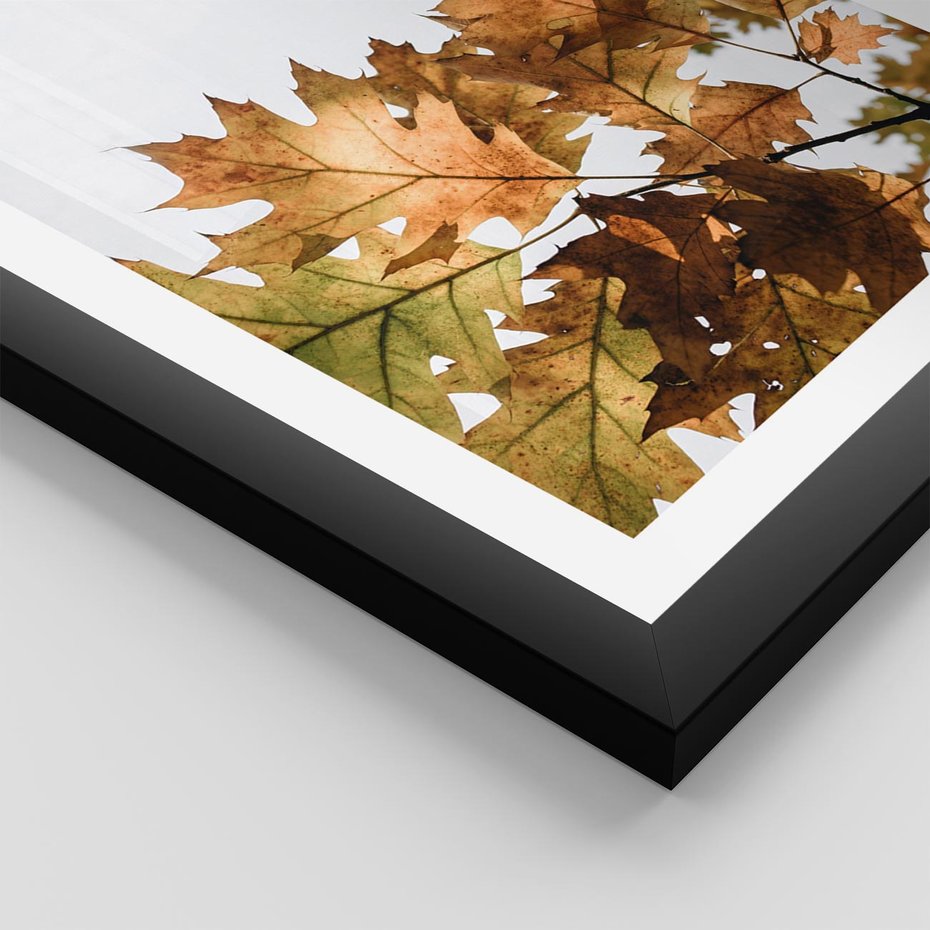 Plakat w ramie 30x40 - Suche Żółte Liście w Malowniczym Ujęciu - liście, żółte - rama czarna