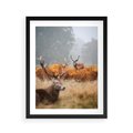 Plakat w ramie 40x50 - Malownicza Harmonia - jelenie, jesień - rama czarna