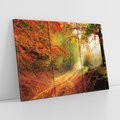Obraz na płótnie 120x80 - Jesienny las - malownicza droga - las, jesień