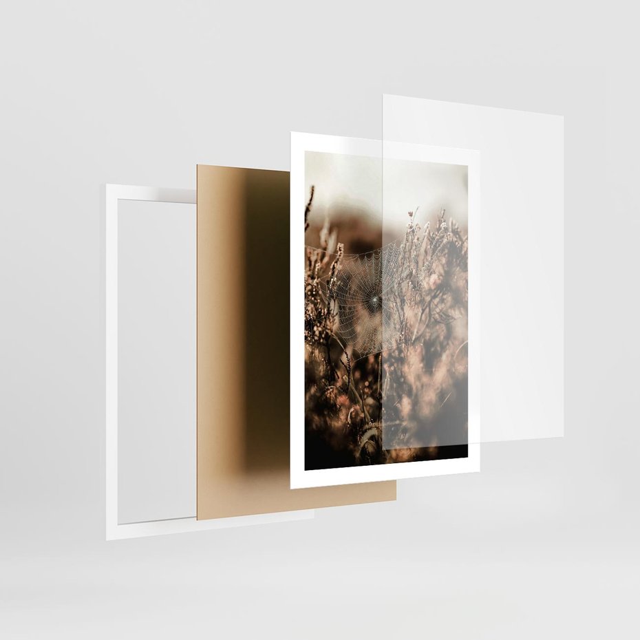 Plakat w ramie 50x70 - Jesienny Mikrokosmos - suchetrawy, jesienny klimat - rama biała