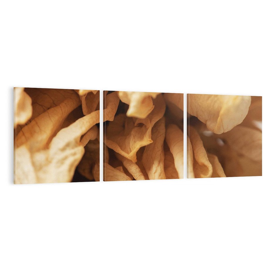 Obraz na płótnie 120x40 - Zjawiskowe zasuszone kwiaty - zasuszone, kwiaty