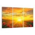 Obraz na płótnie 120x80 - Magia zachodu słońca na łące z makami - łąka, zachód słońca