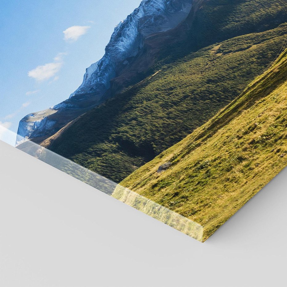 Obraz na płótnie 70x50 - Górski pejzaż: łąka i szczyty - góry, łąka