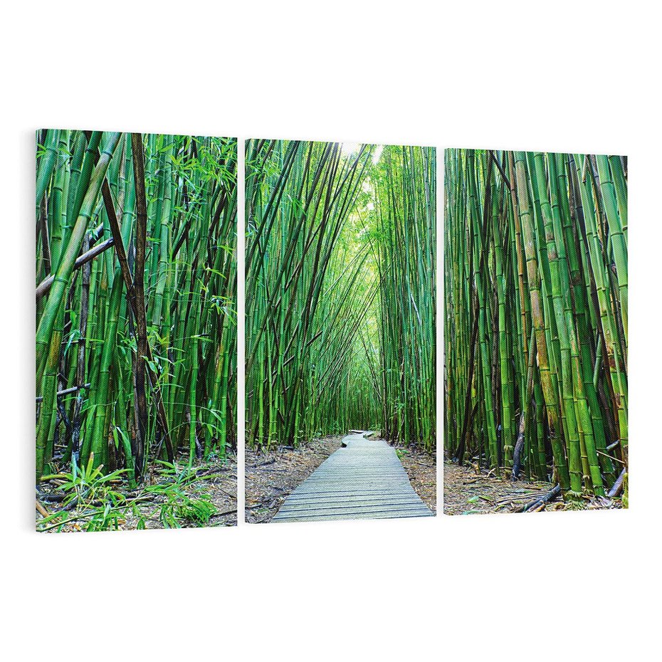 Obraz na płótnie 120x80 - Spacer wśród lasu - ścieżka, las