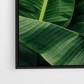 Obraz w ramie 100x70 - Zaklęta roślinna ekspresja - liście bananowca, gęsto ułożone - rama czarna
