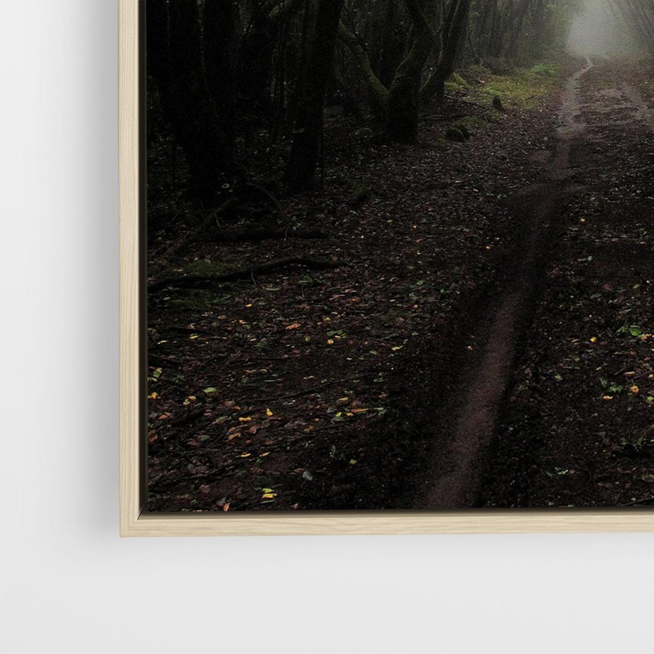 Obraz w ramie 80x80 - Urok Drogi - las, droga - rama drewno