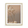 Plakat w ramie 50x70 - Subtelna gipsówka - gipsówka, suche - rama drewno
