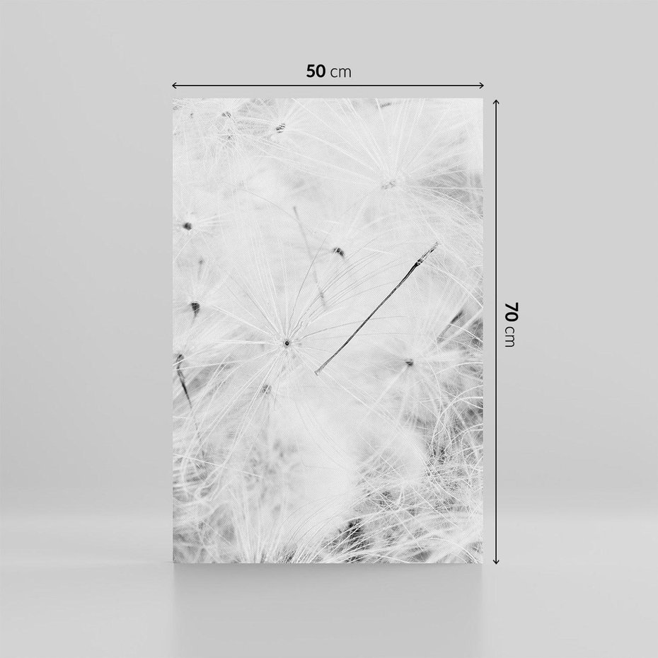 Obraz na płótnie 50x70 - Zdmuchnięty Puch - dmuchawce, delikatne