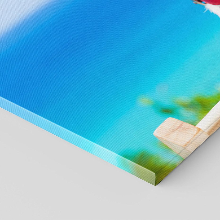 Obraz na płótnie 100x50 - Wakacyjny pies: Słoneczne przygody - pies, wakacje