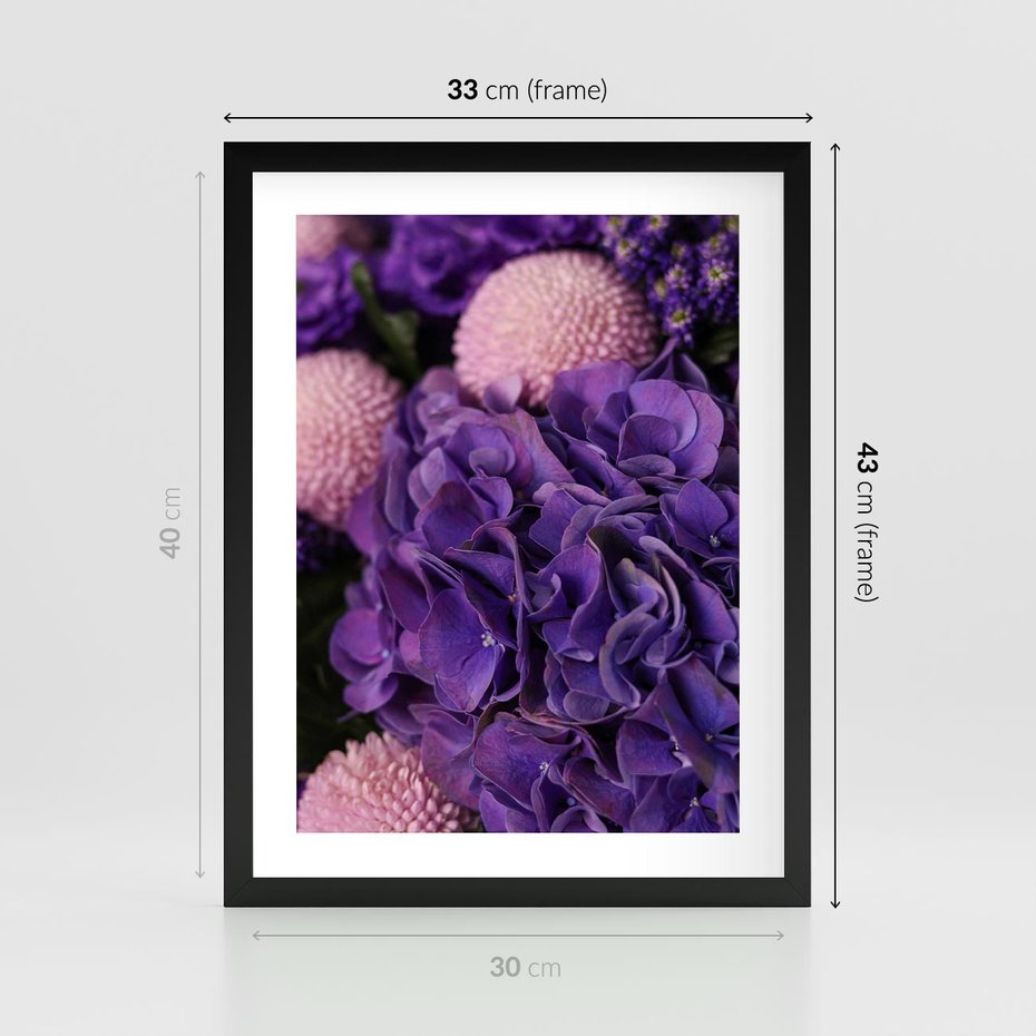 Plakat w ramie 30x40 - Fioletowa hortensja - kwiaty, hortensja - rama czarna