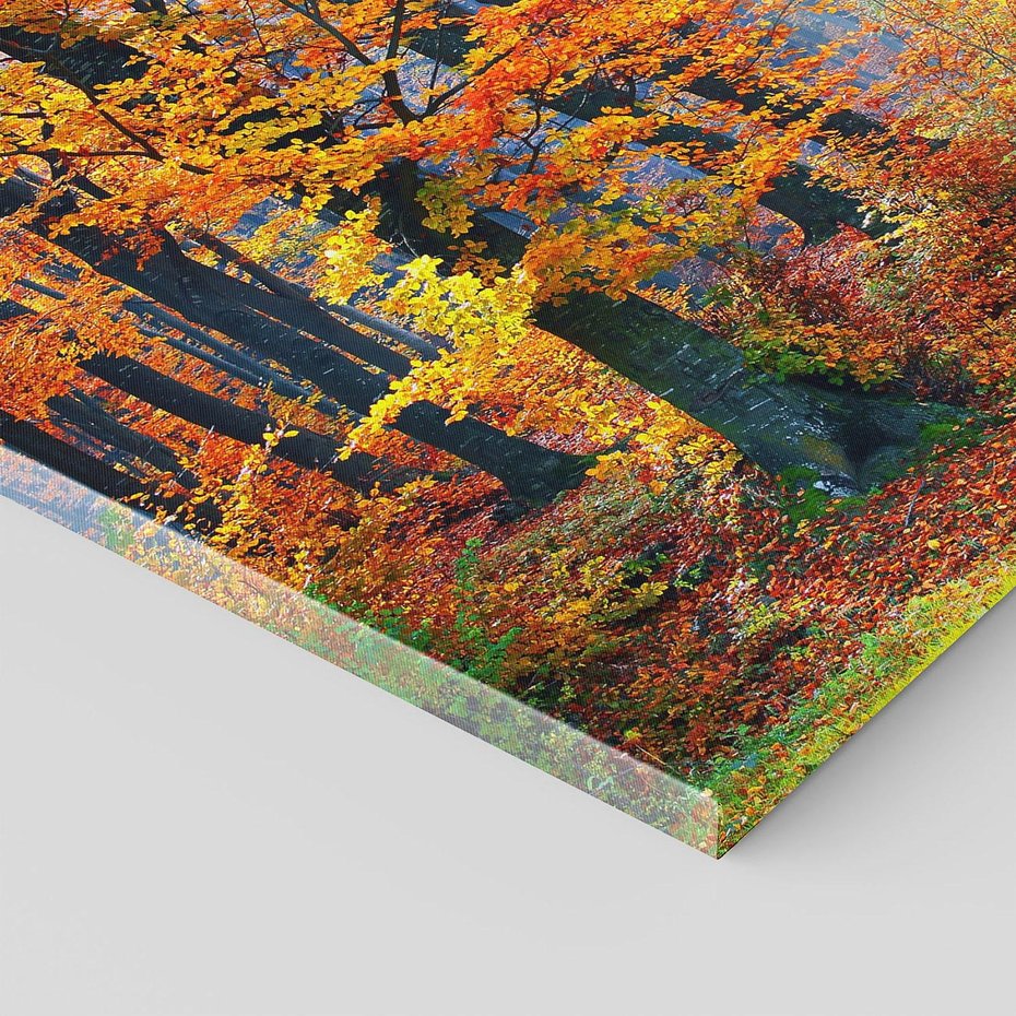 Obraz na płótnie 100x70 - Jesienny taniec lasu - jesień, las