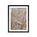 Plakat w ramie 30x40 - Beżowa Trawa - suche trawy, zbliżenie - rama czarna