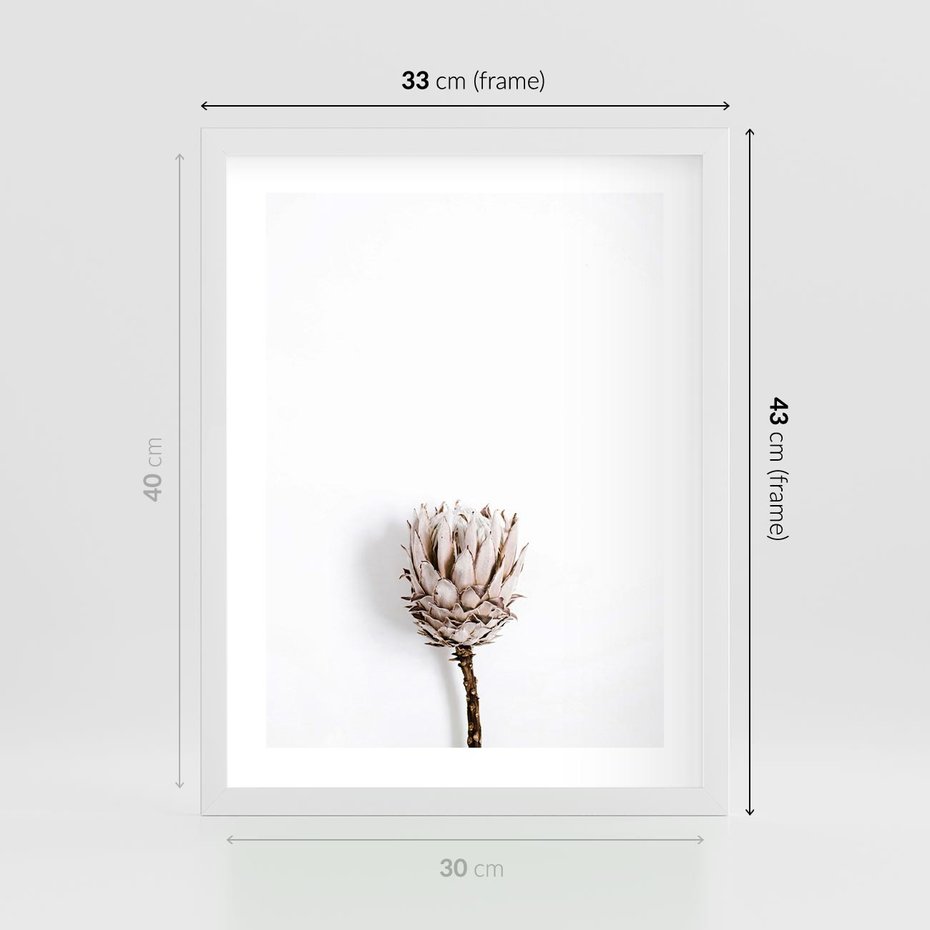 Plakat w ramie 30x40 - Suszona Roślina na Białym Tle - minimalizm, suszona roślina - rama biała