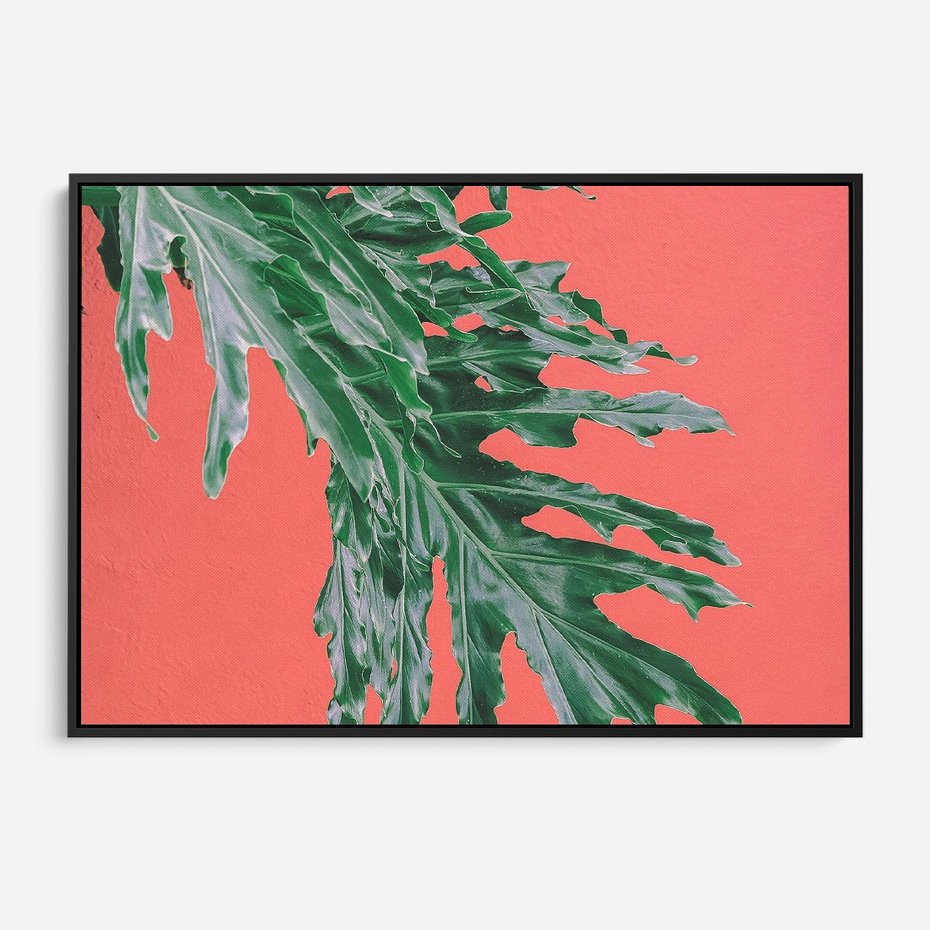 Obraz w ramie 70x50 - Energetyczna Eksplozja Natury - liście, kolor - rama czarna