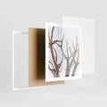 Plakat w ramie 40x50 - Pustynna Harmonia Gałęzi - pustynna roślina, suche gałęzie - rama biała