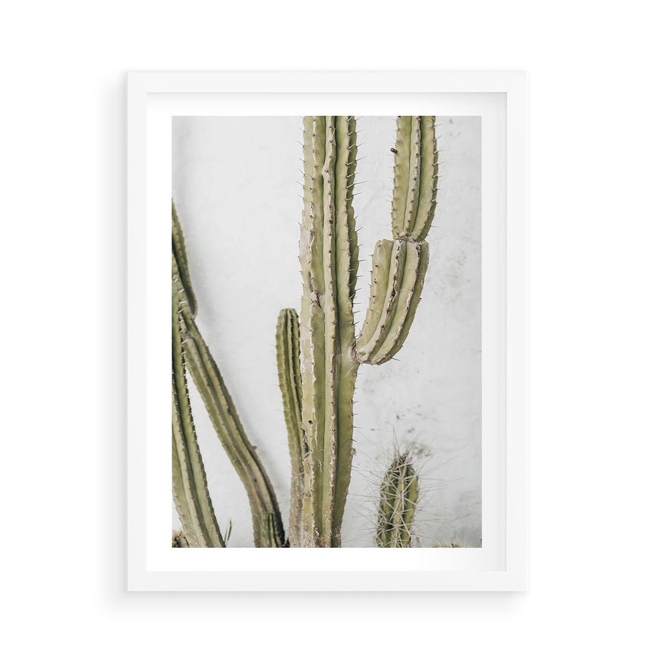 Plakat w ramie 50x70 - Kaktus w Stylu Boho - kaktus, roślina tropikalna - rama biała